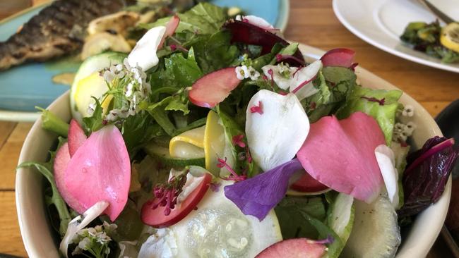 Penobscot Farm salad at Watervale Hotel, Clare Valley.