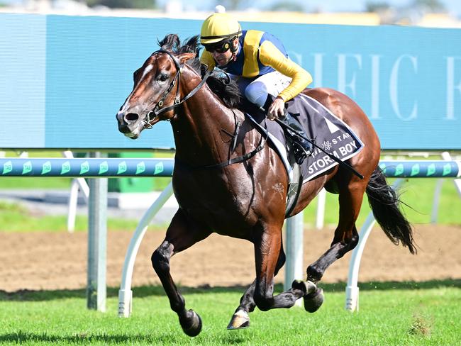 The Gai Waterhouse-trained Storm Boy has won the $3 million two-year-old Magic Millions Classic on the Gold Coast. Picture: Grant Peters/Trackside Photography