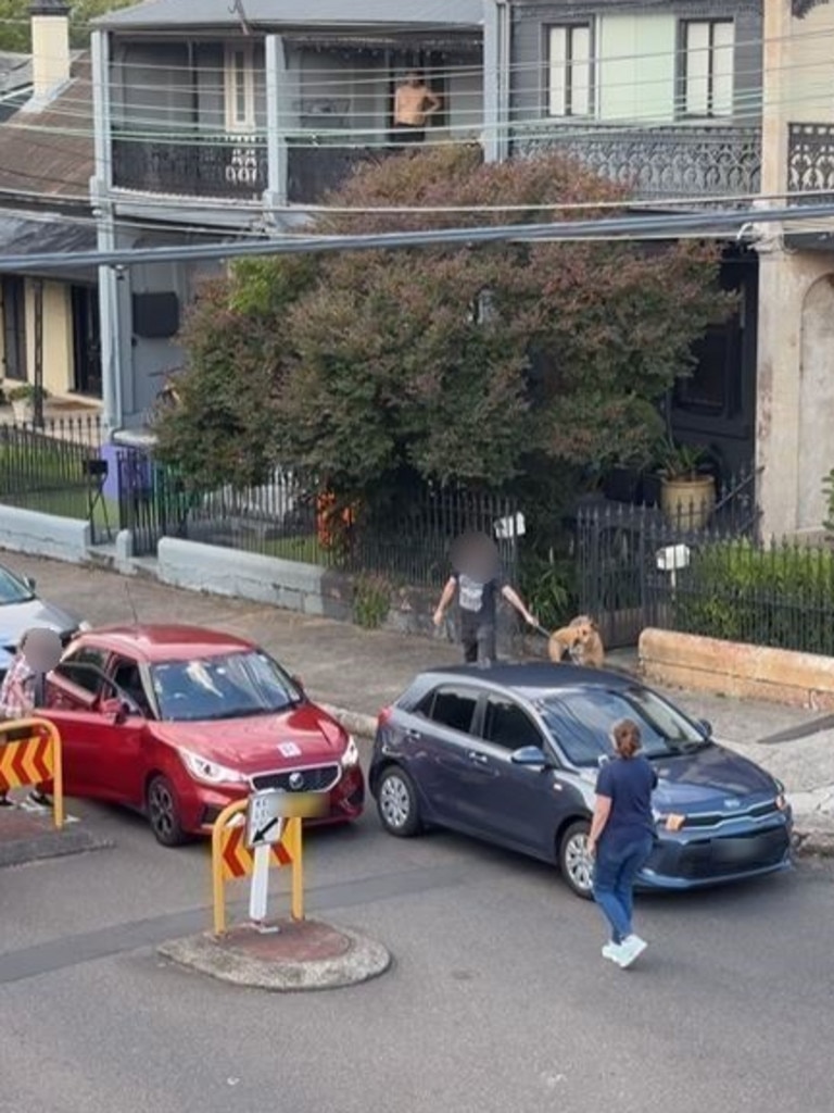 The woman was seen walking away from her car to film the incident. Picture: Instagram@browncardigan