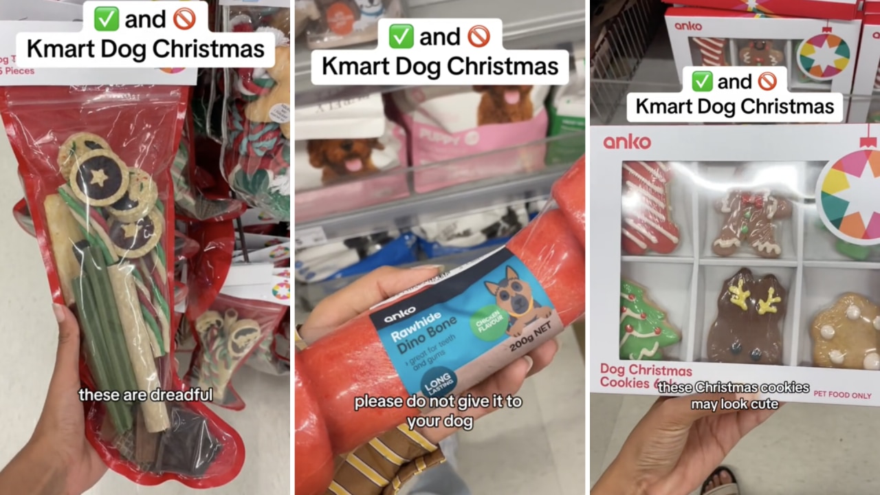 Kmart dog clearance items