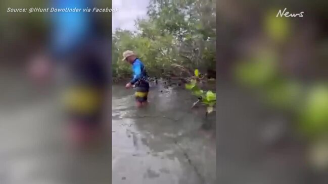 Stingray 'gets revenge' on man