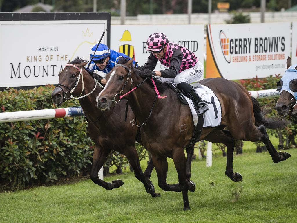 Qld racing, Horse Racing News and Thoroughbreds