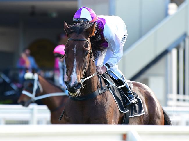 Go Wandji wins for jockey Larry Cassidy at Eagle Farm - the two other people in one of the pics are Go Wandji's owner John Dougall (older gent far right) and trainer Tom Dougall (second from right) Pic credit Grant Peters Trackside Photography,