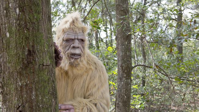 Yowie sightings have been reported all across Far North Queensland.