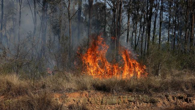 A fire in Wallacia in 2023. Picture: Max Mason-Hubers