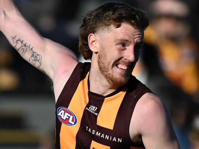 LAUNCESTON, AUSTRALIA - AUGUST 13: Denver Grainger-Barras of the Hawks celebrates a goal  during the round 22 AFL match between Hawthorn Hawks and Western Bulldogs at University of Tasmania Stadium, on August 13, 2023, in Launceston, Australia. (Photo by Steve Bell/Getty Images)