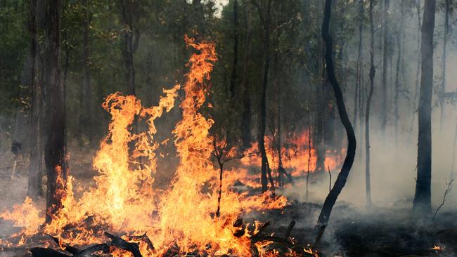 The fire that is contained west of Tiaro, could result in trees falling in the area in the next few days, QFES warns.