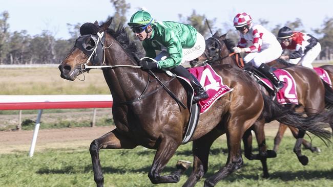 Turgenev returns for another shot at the Gilgandra Cup. Picture: Bradley Photos