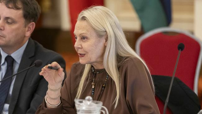 Sandy Bolton at Queensland Parliament in 2024. - Picture: Richard Walker