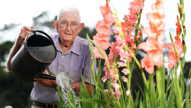 Laurie Neilson, 82, has be exhibiting his Gladolis for over 15 years at the Townsville Show. Picture: Shae Beplate.