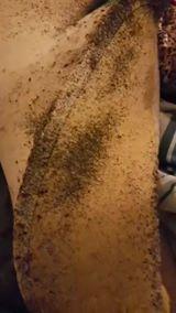 London Pest Controllers Show Shocking Condition of Bed Bug-Infested Room. Credit - PortersPestControl.co.uk via Storyful