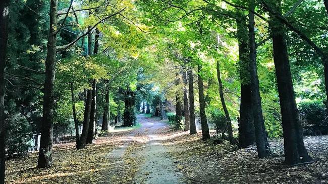 The lush surrounds at Wildenstein at Mt Wilson. Picture: Instagram