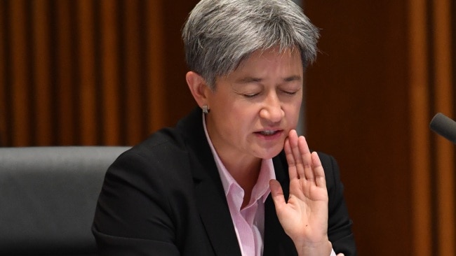 Senator Penny Wong says she "deeply regrets" making a comment about Kimberley Kitching's lack of children. Picture: Sam Mooy/Getty Images