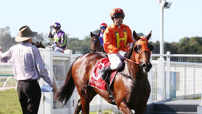 Cedarwood, ridden by Chris Whiteley, returns to scale after winning Race 5, the Class 6 Plate at Cannon Park, Woree. PICTURE: BRENDAN RADKE.