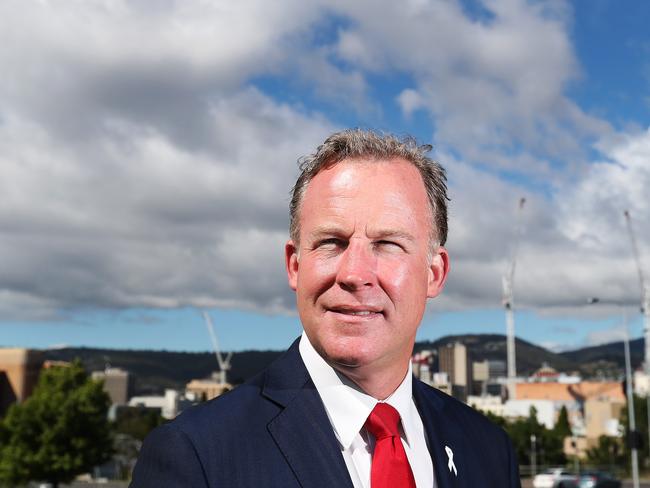 Tasmanian Premier Will Hodgman with some of the many cranes visible in the sky around Hobart signaling construction in the city. Premier Will Hodgman joined by Master Builders Association's Michael Kershbaum in relation to the strength in Tasmania's economy and the plans for the future. Picture: NIKKI DAVIS-JONES