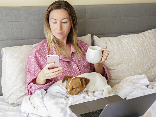 Close up shot of young woman working remotely from home in her bed on laptop due to coronavirus quarantine. Freelancer female with her jack russell terrier puppy. Copy space, background,