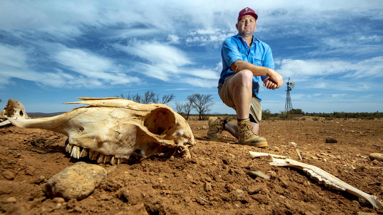 Sheep farmer Michael Burford on his station north east of Peterborough in March, more than a year after the drought started. Picture: Mark Brake