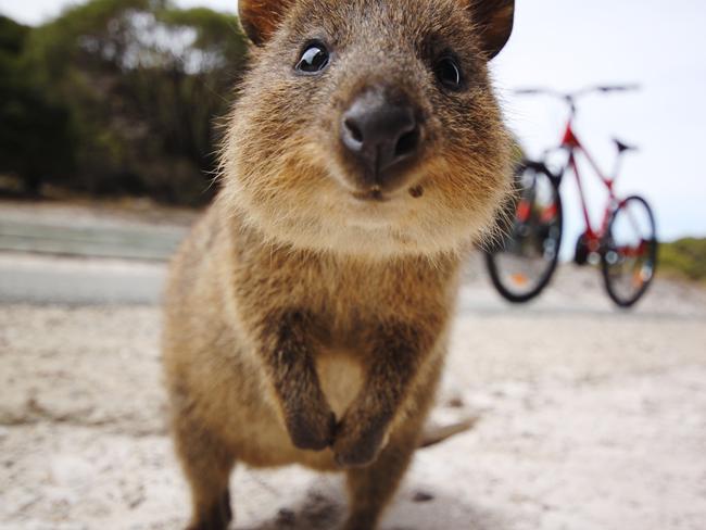 Rebecca Woolfe’s family missed out on a trip to Rottnest Island.