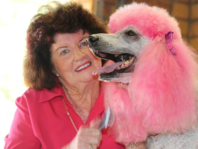 Coco with owner and agent Sue Zocchi. Picture Glenn Hampson