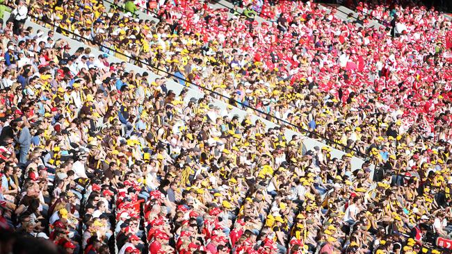 Fans enjoying the 2014 AFL Grand Final.