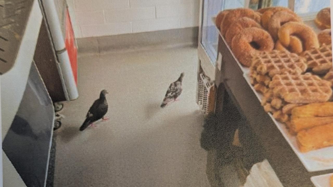 Pictures captured by City of Gold Coast Environmental Health Officers of dirty conditions inside former Mermaid Beach bakery Pane Organico. Picture: Supplied