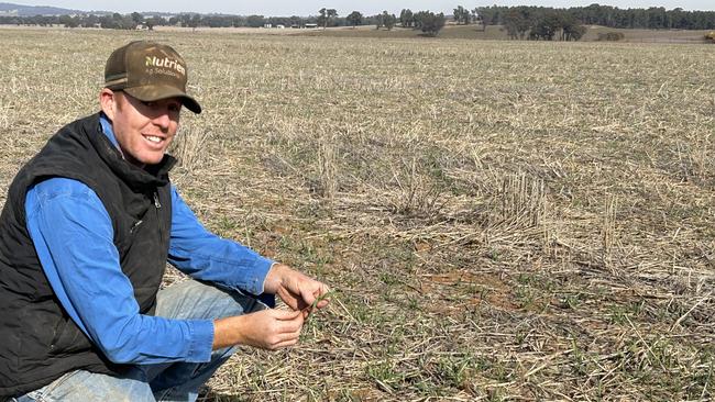 Ben Langtry of Marrarvale Pastoral Company at Marrar. Picture: Nikki Reynolds