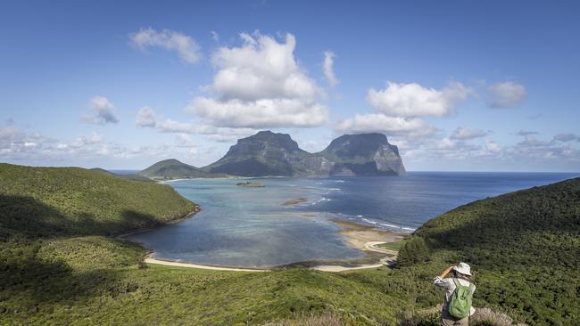 Pinetrees Lord Howe Island.