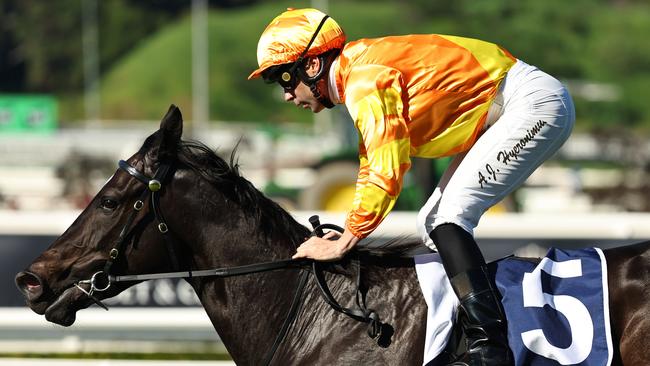 Adam Hyeronimus rides Agarwood to victory at Royal Randwick on Saturday. Picture: Jeremy Ng / Getty Images