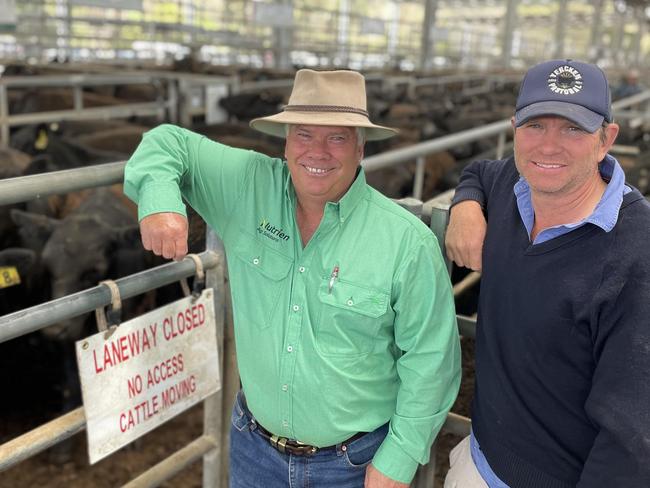 Nerves for nought after first weaners sold