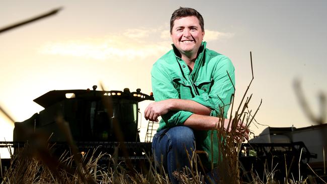 Grain Producers SA chairman Wade Dabinett in a wheat field at Parilla. Picture Simon Cross