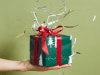 'Take it from me, a family Kris Kringle is a terrible idea'