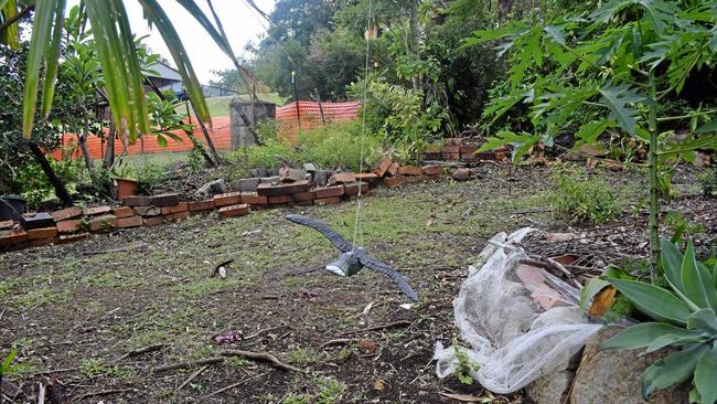 DESTRUCTION: A hanging falcon ornament designed to scare away bush turkeys. Picture: JACK EVANS