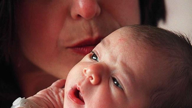 Crackdown on paid parental leave will be back in parliament this week.
