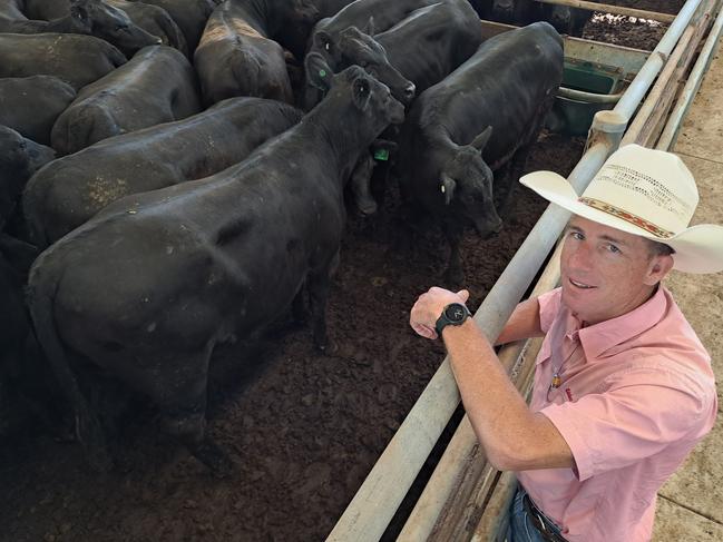 Elders Finley agent James Kennedy with some of the young heifers from client Kiamungie at Tocumwal which sold to $1470 at Wangaratta today.