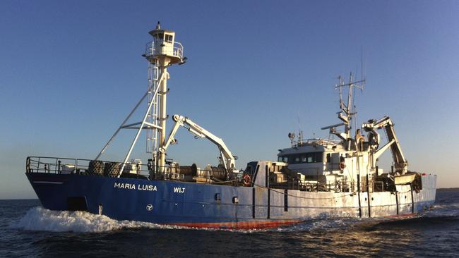 The Maria Luisa fishing vessel. Picture: South Australian Sardine Industry Association Inc.