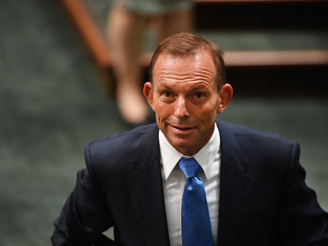 Mr Abbott reportedly wanted to keep his hands clean so other Liberal MPs were directed to push the government on conservative issues. Picture: AAP Image/Mick Tsikas