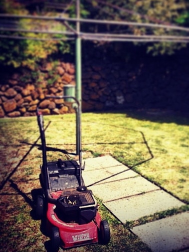 My old Victa lawn mower in happier times.