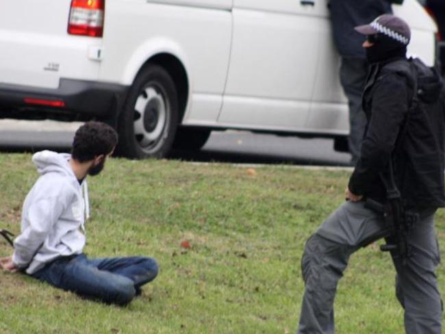 A young man arrested after the police raid in Greenvale.