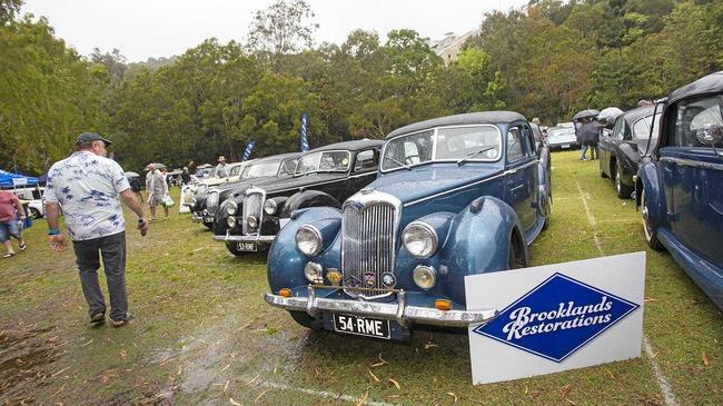 A lovely lineup of classic Rileys on waterlogged grass. Picture: Iain Curry