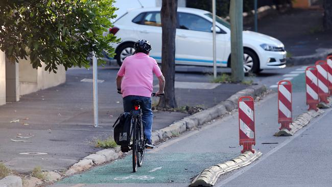 The trees are being cut down to make way for infrastructure including cycleways. Picture: Richard Dobson