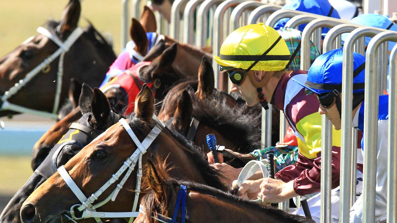 SCONE RACES