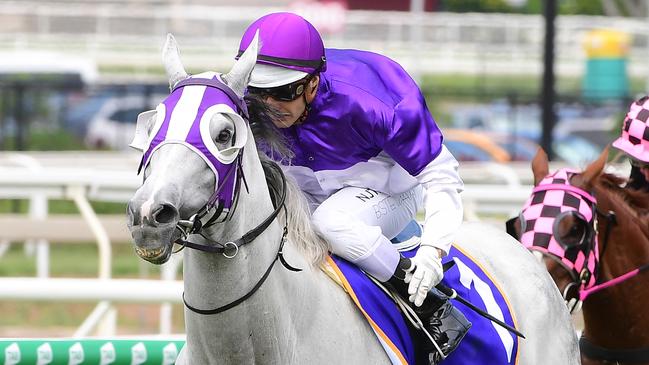 The Candy Man’s winning run came to and end. Picture: Trackside Photography