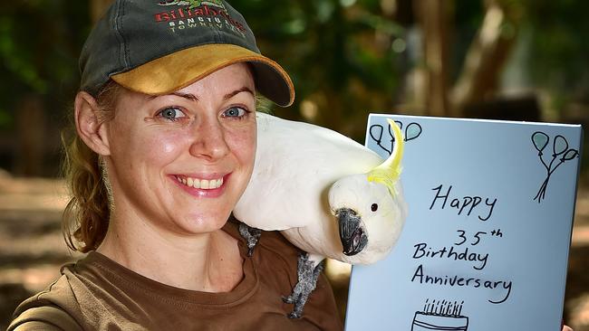 Billabong Sanctuary Ranger Jessica Murphy with Jacko the cockatoo. Picture: Shae Beplate.