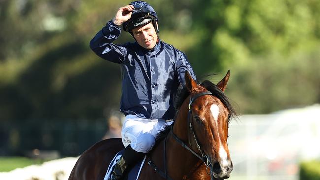 Storm Boy will make his debut for Irish trainer Aidan O’Brien this weekend. Picture: Jeremy Ng/Getty Images