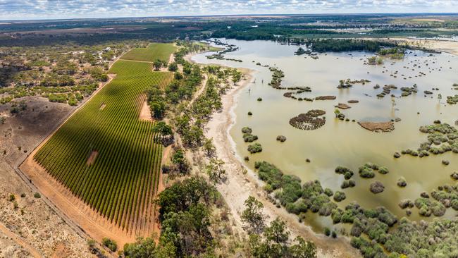 Accolade is promising to maintain the wetlands it has managed for more than 25 years. Picture: Supplied by Langley &amp; Co