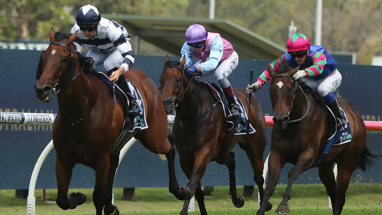 Dalaalaat has been a firmer in the opening event at Randwick. Picture: Getty Images