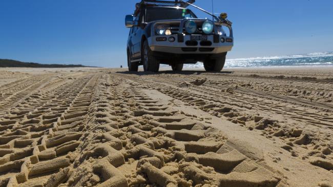 Fraser Coast things to do: Whales, beaches and great drives | The ...