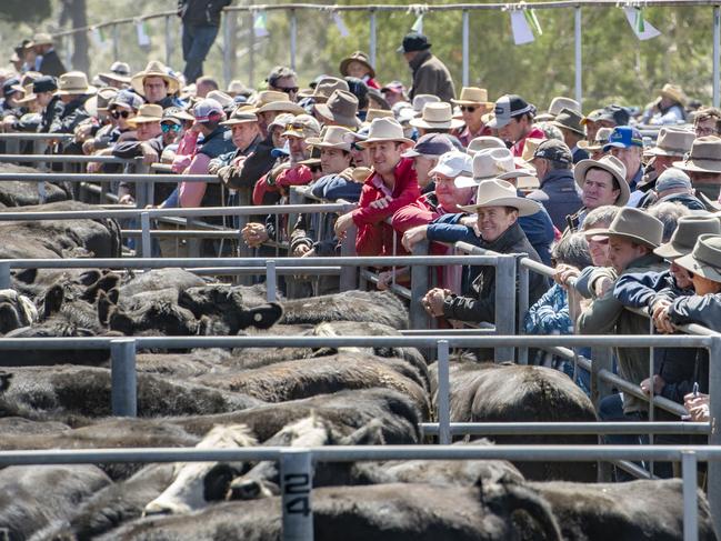 ‘Off the planet’ sales recorded at western Vic market