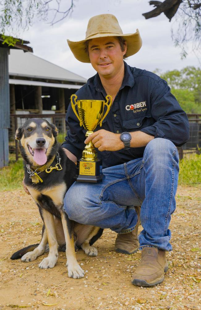 Tom Perkins' loyal dog, Bear, has been crowned Australia's hardest working dog in the 2024 Cobber Challenge. Photo: Cobber Challenge.