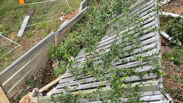 Riverstone Crossing on the Gold Coast - fencing down in the backyards of homes after a landslip.